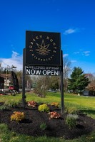 Jersey Roots Cannabis Dispensary and Weed Delivery image 3