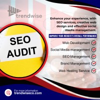 Trendwise SEO Consulting image 2