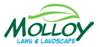 Molloy Lawn & Landscape image 1