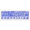 business consulting services logo