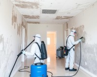 Mold Remediation Hotline Winston-Salem NC image 3