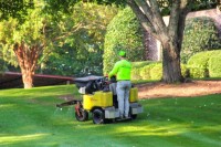 GreenCo Lawn Care & Landscapes image 1