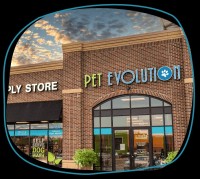 Pet Evolution Aliso Viejo image 7