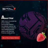 Sital Technology image 3