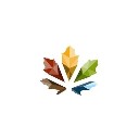 Five Seasons Cannabis Company logo