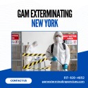 Gam Exterminating New York logo