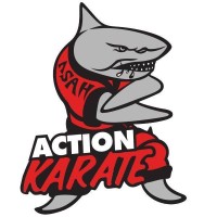 Action Karate Chalfont image 7