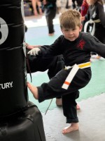 Action Karate Telford image 15