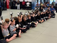 Action Karate Chalfont image 15