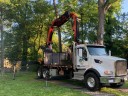 Harper's Tree and Stump Removal logo