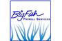 Big Fish Payroll Services logo