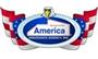  America Insurance Agency Inc logo