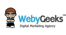 SEO India-Top Rated SEO Services India by Webygeeks image 1