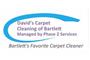 David's Carpet Cleaning of Bartlett logo