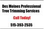 Des Moines Professional Tree Trimming Services logo