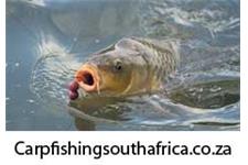 Carp Fishing South Africa image 1