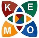 Kemo Data Consulting image 1