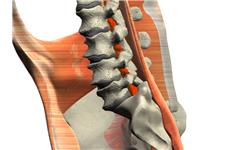 Dr. Gil Center for Back, Neck, and Chronic Pain Relief image 3