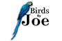 Birds By Joe logo