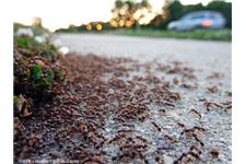 Premier Columbus Bed Bug Exterminators image 2