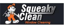 Squeaky Clean Window Cleaning image 1