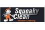 Squeaky Clean Window Cleaning logo
