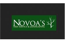 Novoa’s Tree Service & Landscaping image 1