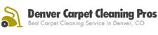 Denver Carpet Cleaning Pros image 1
