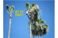 Norwalk CA Tree Service image 1