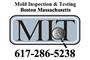 Mold Inspection & Testing Boston MA logo
