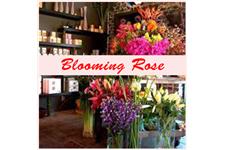 Blooming Rose image 1