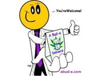 Medical Marijuana Delivery Service A Bud-e, Inc image 1