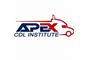 Apex CDL Institute logo