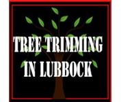 Tree Trimming in Lubbock image 1