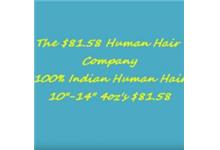 8158 Human Hair Company image 2