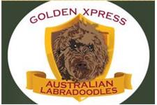 Golden Xpress Labradoodles LLC image 1