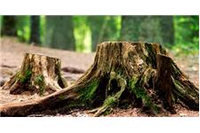 Timber Tree Service image 4