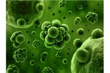 Blitz Mold Pro LLC image 1