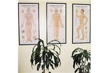SHL Acupuncture & Herbs Clinic image 3