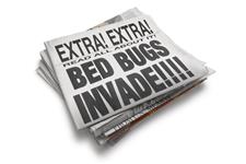 Philly Bed Bug Control image 2