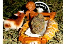 Buddy's Cannabis image 7