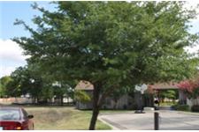 Central Texas Tree Care image 3