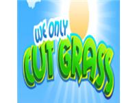 We Only Cut Grass image 1