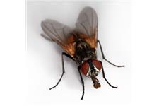 Top Quality Pest Control of Mission Viejo image 2