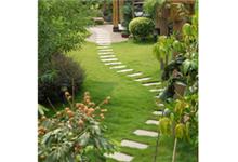 Peters Professional Landscaping image 3