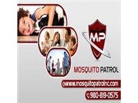 Mosquito Patrol image 2