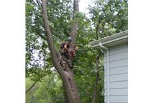 Minnesota Tree Surgeons LLC image 3