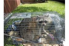 National Wildlife Removal image 1