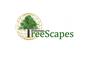 International TreeScapes, LLC logo