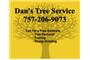 Dan's Tree Service logo